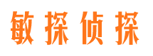 九里市侦探公司